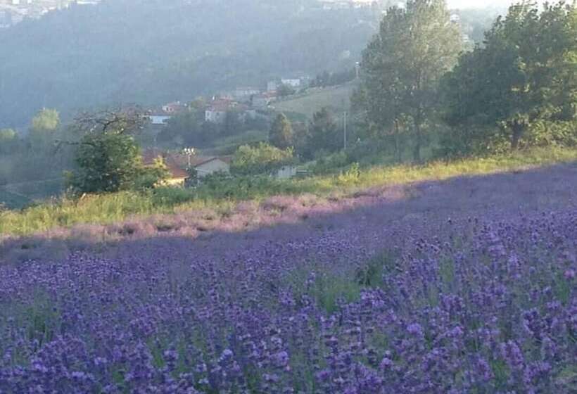Bed and Breakfast Locanda Del Borgo
