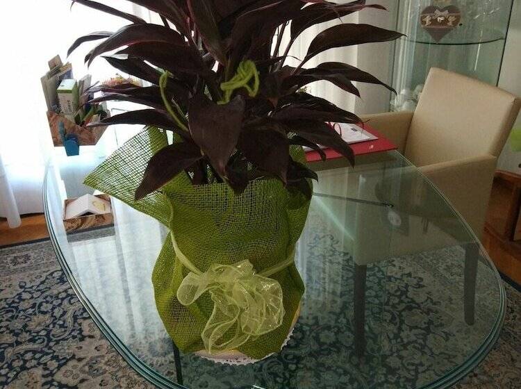 ベッドアンドブレックファースト Marinella B