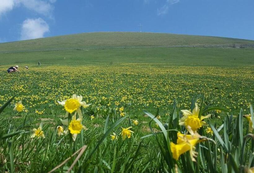 צימר Valreley, Chambres Et Table D Hôtes Eco Friendly Avec Bain Nordique Au Sud Du Massif Du Jura