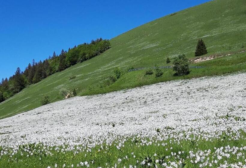 צימר Valreley, Chambres Et Table D Hôtes Eco Friendly Avec Bain Nordique Au Sud Du Massif Du Jura