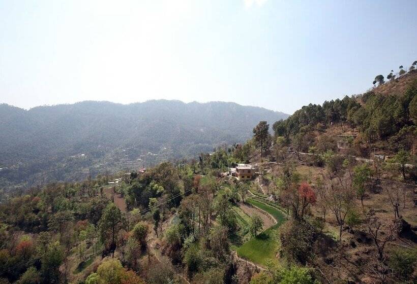 Black Pepper By Oyo Rooms