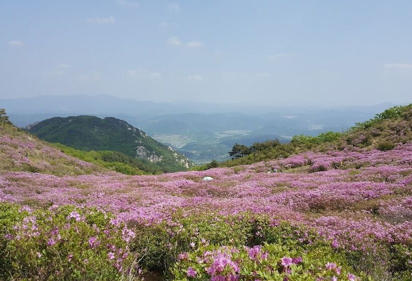 Hapcheonho View Smile Pension