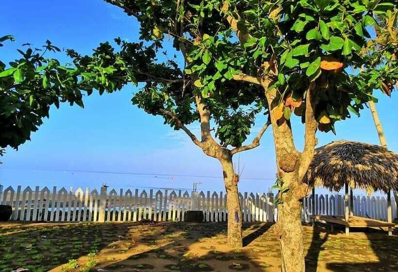 호텔 Agm Beachfront Resort & Resto