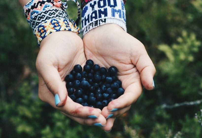 酒店 Baza Otdikha Zhuravushka