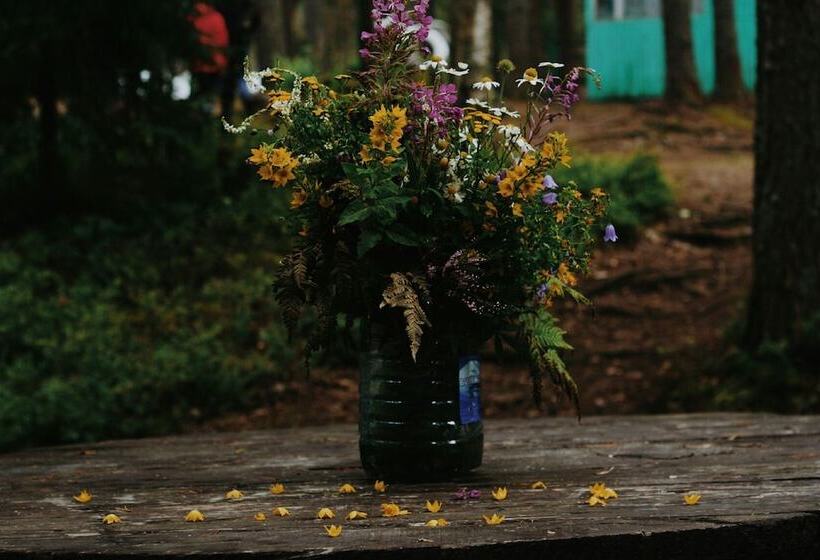 酒店 Baza Otdikha Zhuravushka