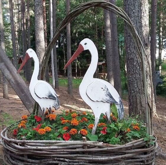 酒店 Baza Otdikha Zhuravushka