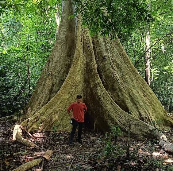 בית מלון כפרי Brown Andaman  Krabi