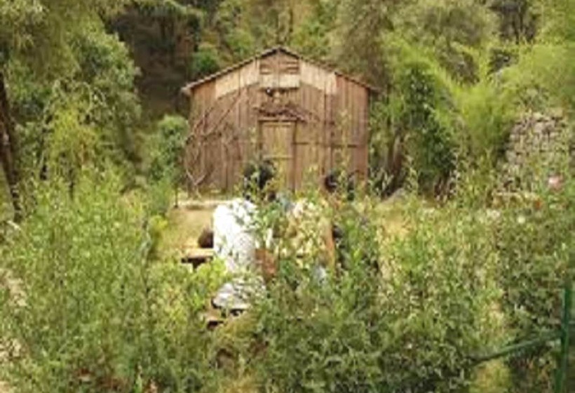 فندق Camp Twilight