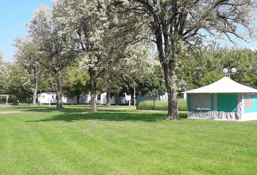 ホテル Camping Les Berges Du Célé