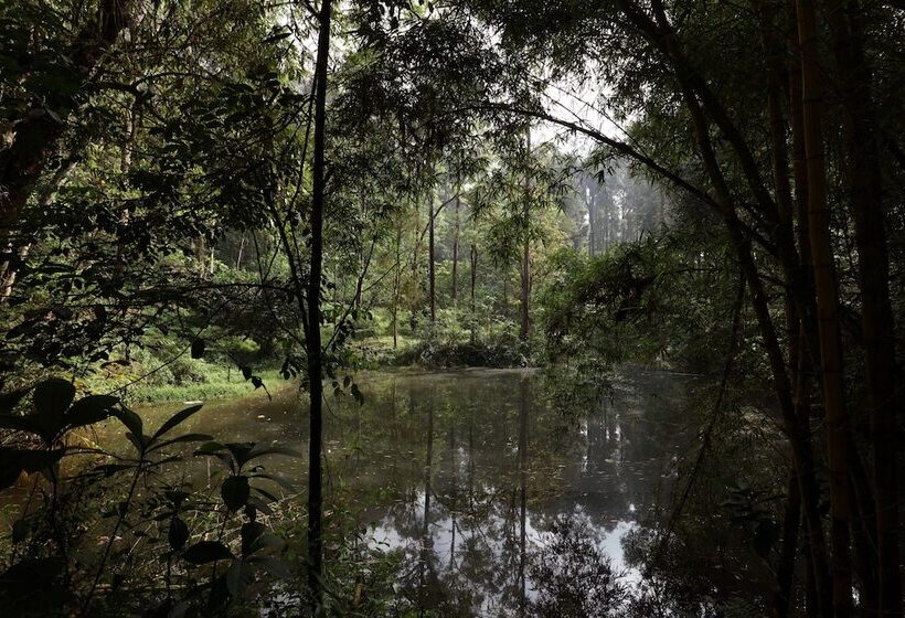 호텔 Dew Drops Farm Resorts