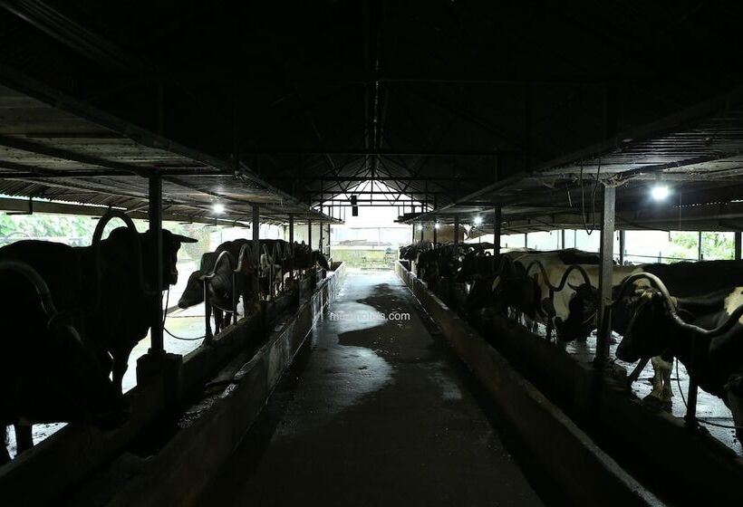 호텔 Dew Drops Farm Resorts