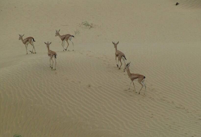 בית מלון כפרי Dhora Desert Resort & Spa By Eight Continents