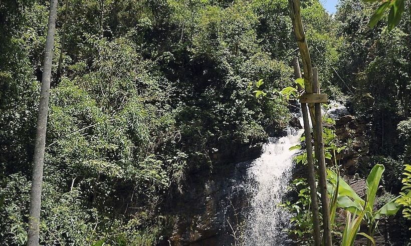 Отель águas Da Mata