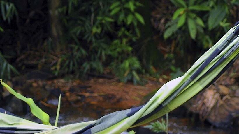 Отель águas Da Mata