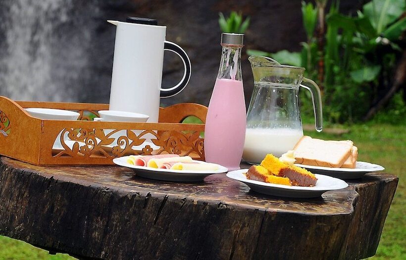 Отель águas Da Mata