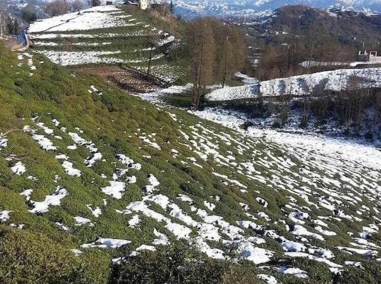 בית מלון כפרי Hasdikoz Abdik