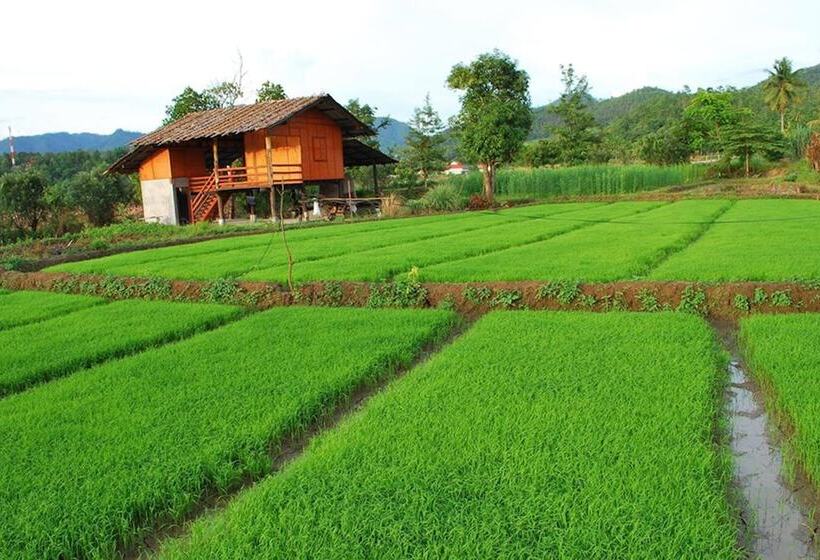 Отель Herntai Resort