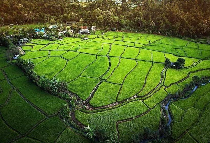 Отель Herntai Resort