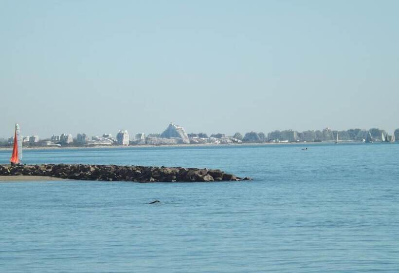 Отель Le Carnon