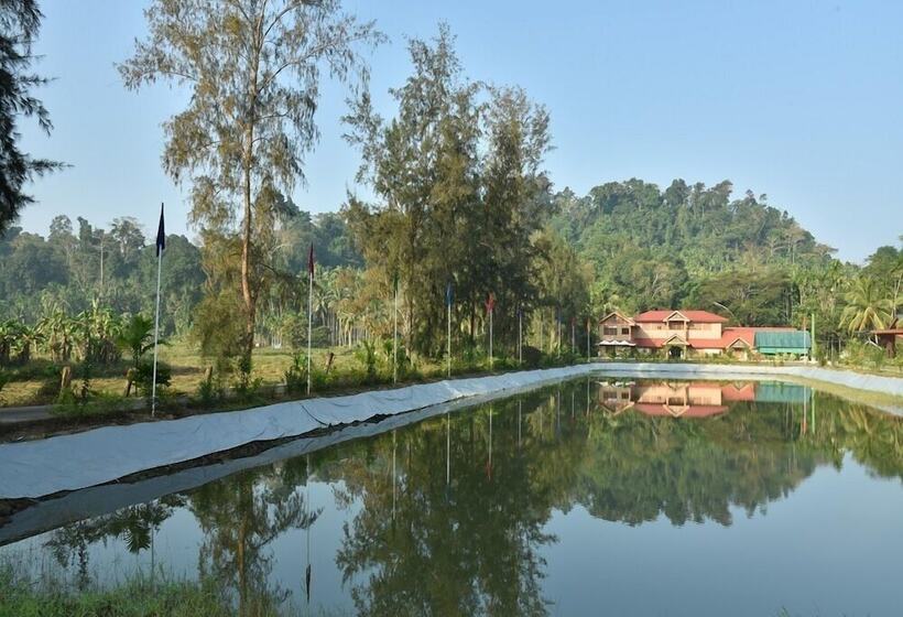 Отель Lush Green Retreat