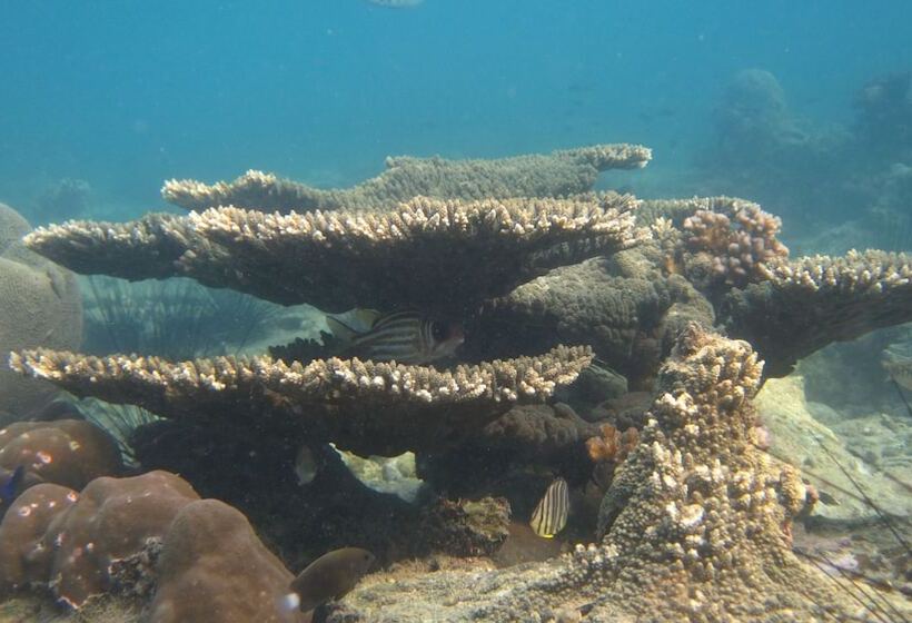 فندق Mantakiri Island Resort Private Island