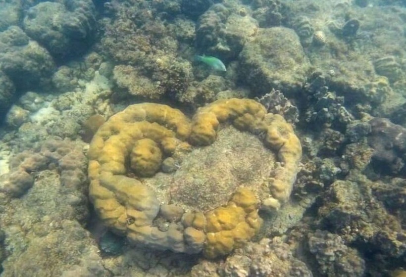 فندق Mantakiri Island Resort Private Island