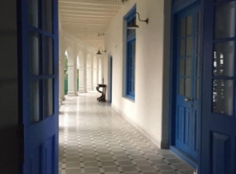 בית מלון כפרי Pine Retreat