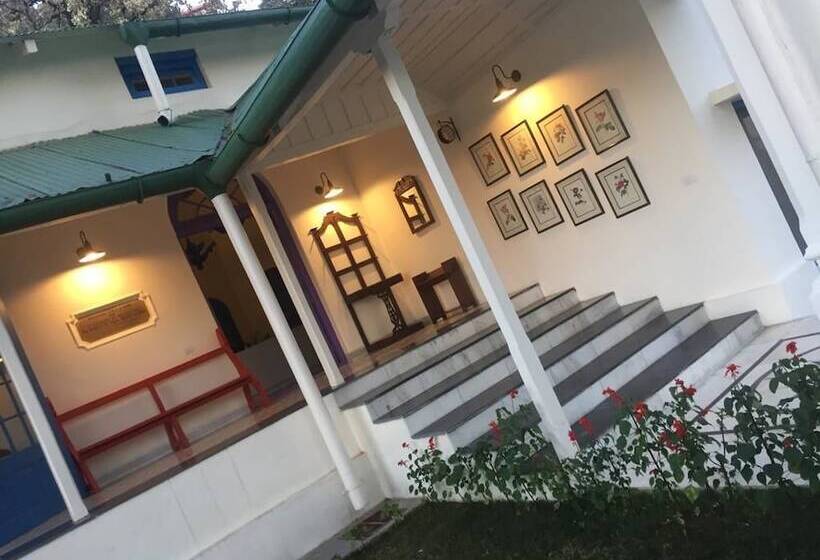 בית מלון כפרי Pine Retreat