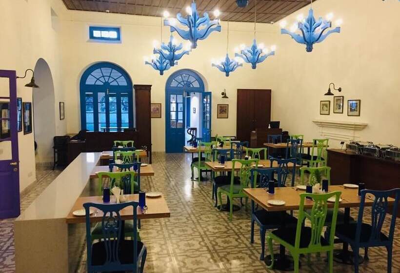 בית מלון כפרי Pine Retreat