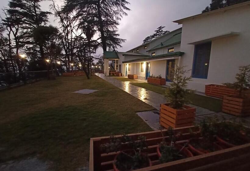 בית מלון כפרי Pine Retreat