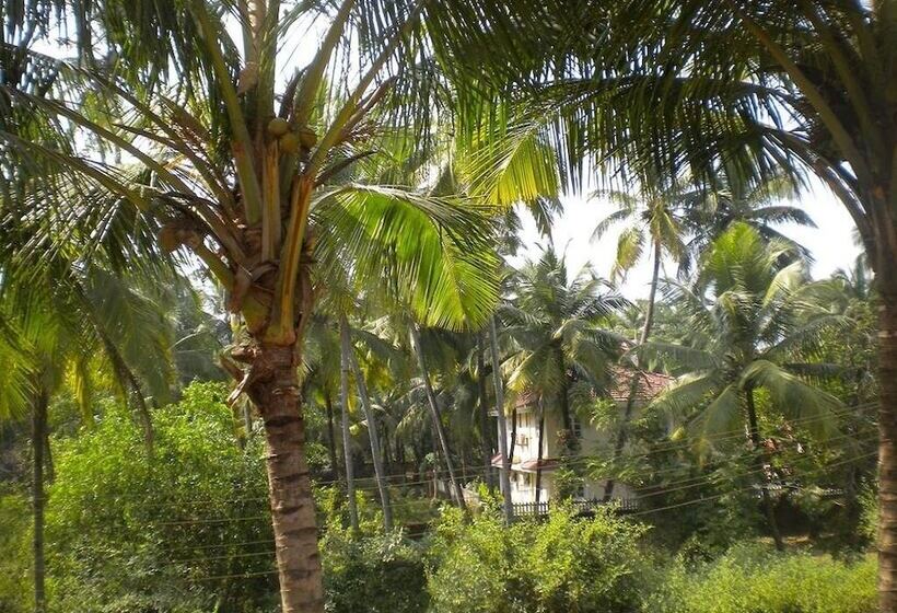 בית מלון כפרי Room Maangta 328   Colva Goa