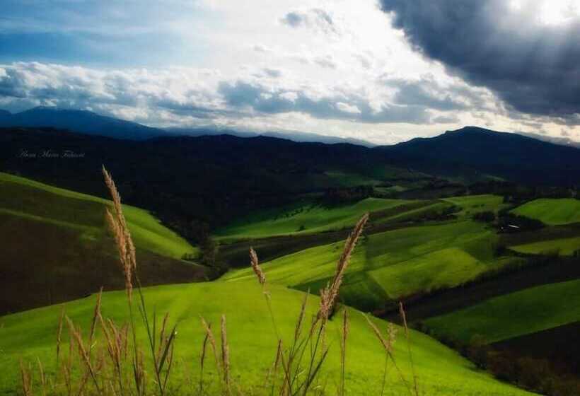 교외 호텔 Agriturismo San Michele