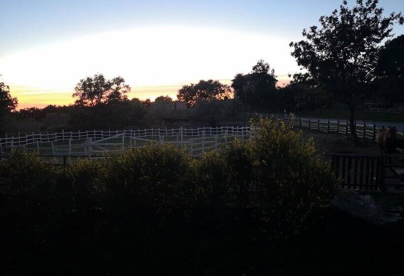 교외 호텔 Agriturismo Terra Nostra