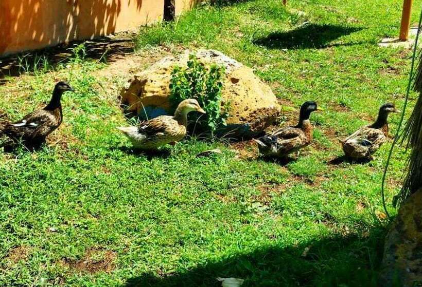 هتل روستایی Le Vallon Vert   Club Equestre