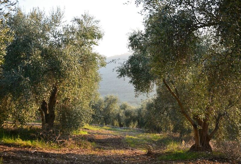 בית מלון כפרי Torre Bruno