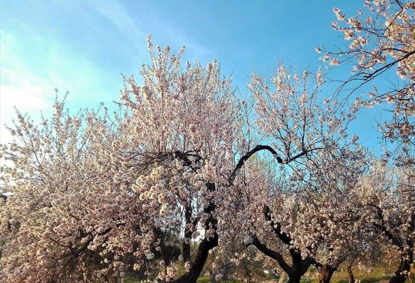 בית מלון כפרי Torre Bruno