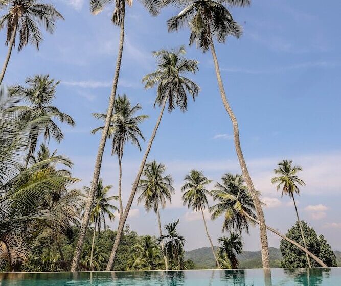 فندق The Flame Tree Estate &