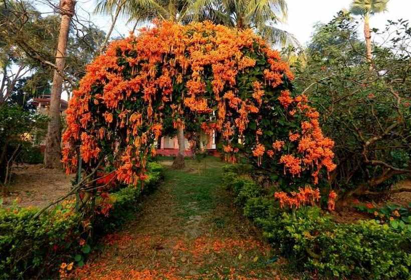 בית מלון כפרי The Garden Bungalow