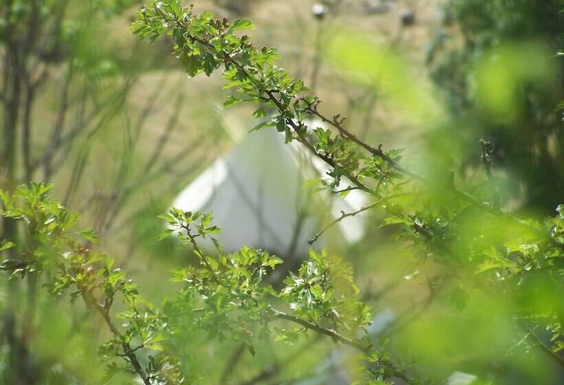 Отель Tipis Gavarnie