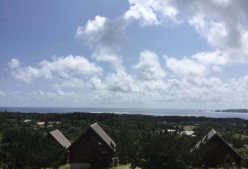 Matayoshi Coffee Farm