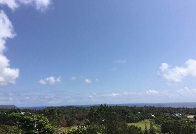 Matayoshi Coffee Farm