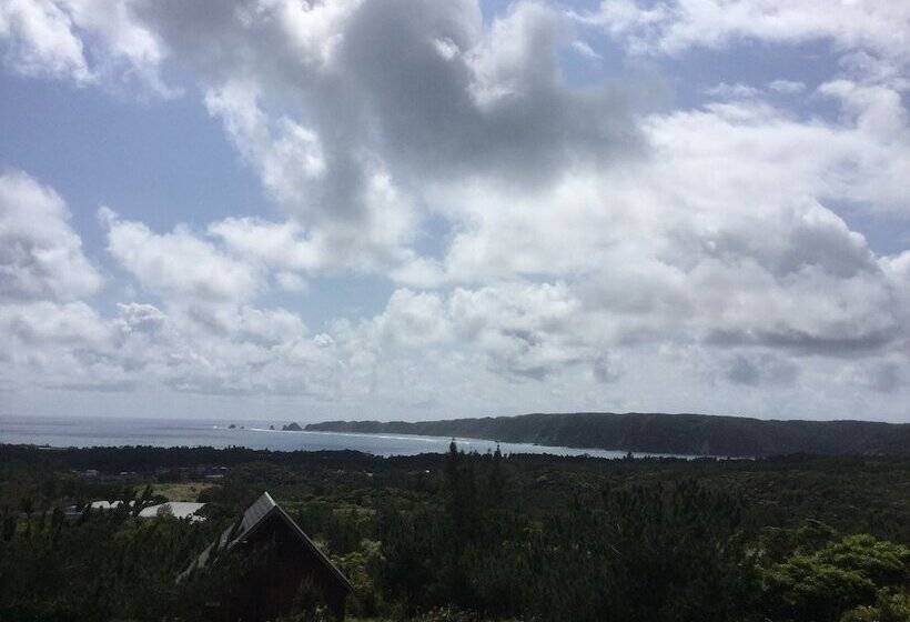 Matayoshi Coffee Farm