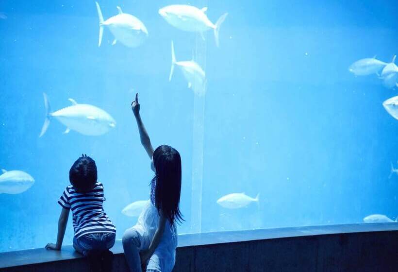 Matayoshi Coffee Farm