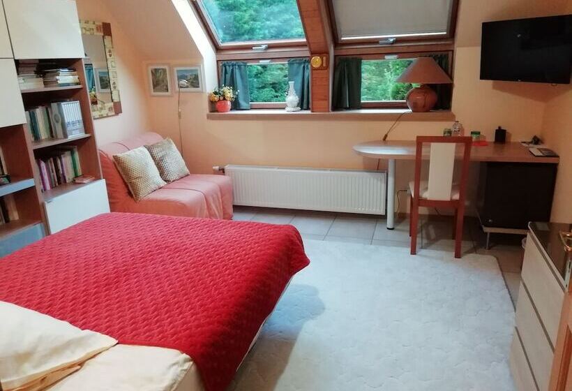 Пансион Belvédère