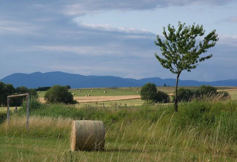 بنسيون F2 Meublé Gite De France 3 épis City Break Près De Belfort
