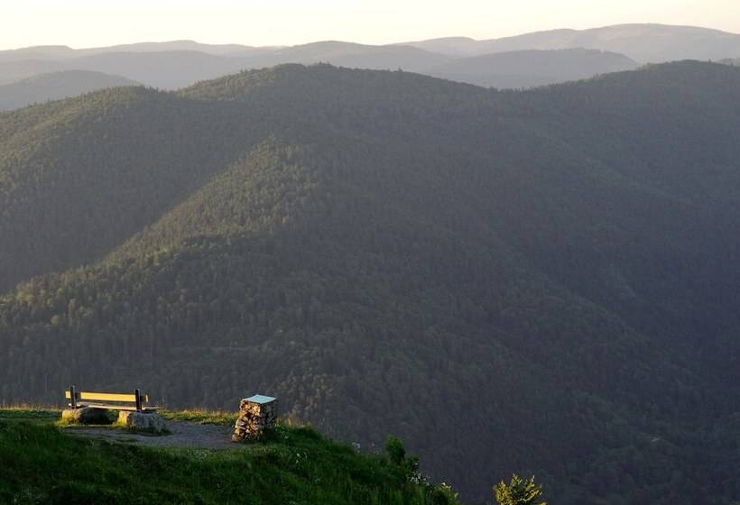 بنسيون F2 Meublé Gite De France 3 épis City Break Près De Belfort