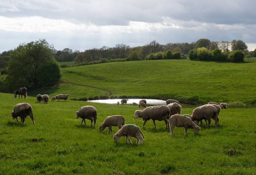 بنسيون F2 Meublé Gite De France 3 épis City Break Près De Belfort
