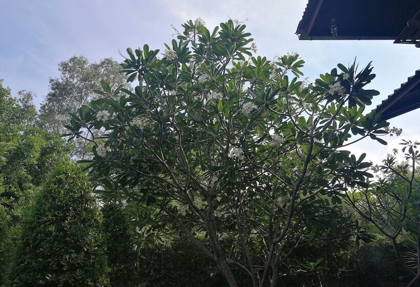 ペンション Kumkhumsriwangchai Amphawa