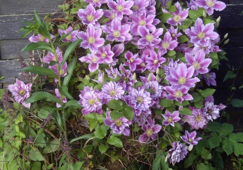 بنسيون La Grange Des Marettes