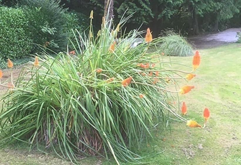 펜션 La Maison Chicorée